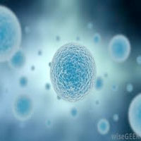Icone de Curso de revisão de Biologia para Vestibular e ENEM Curso de revisão de Biologia para Vestibular e ENEM