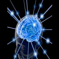 Curso de Neurociência e Aprendizagem