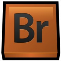 Tratamento da Imagem com Adobe Bridge