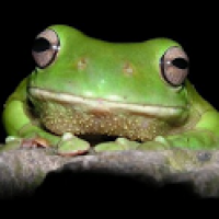 Curso de biologia para Vestibular e ENEM – Vestibulando Digital