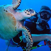 Curso de Oceanografia – USP