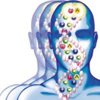 Curso de Psiquiatria – Ansiedade, Pânico, Fobia e TOC