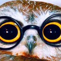 Conhecimento, Saber e Ciência – Curso da FGV