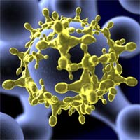 Curso sobre Vírus – Biologia