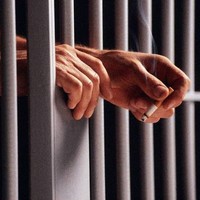 Prisão e Liberdade Condicional – Curso de Direito