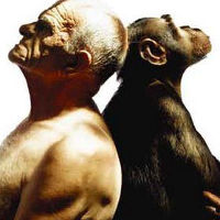 Curso de Teorias sobre Evolução