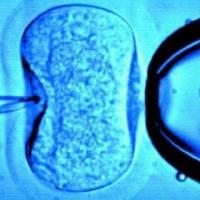 Introdução ao Biodireito – Curso de Direito