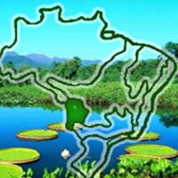 Biomas do Brasil – Curso de Biologia Biomas do Brasil – Curso de Biologia