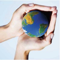 Curso de sustentabilidade para professores Curso de sustentabilidade para professores