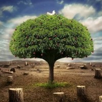 Ecologia – Curso de Biologia