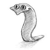 Parasitas invertebrados – Curso de Biologia