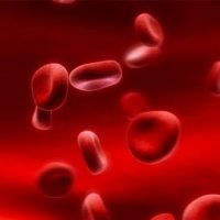 Curso de Herança dos grupos sanguíneos – Biologia