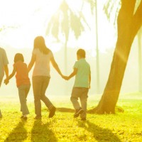 Curso de Parentesco e Filiação Curso de Parentesco e Filiação