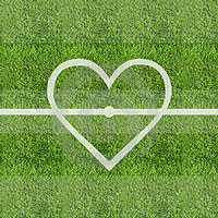 Curso de Traderline – Básico