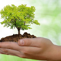 Curso de Direito Ambiental Curso de Direito Ambiental