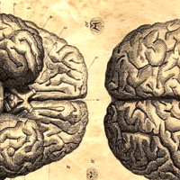 Curso de Filosofia para o Enem Curso de Filosofia para o Enem