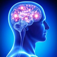 Curso de Aprendizagem Acelerada