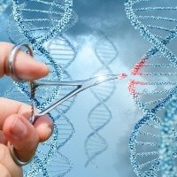 Curso de Genética – Biologia Curso de Genética – Biologia