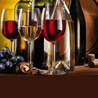 Curso de Vinhos – Básico Curso de Vinhos – Básico