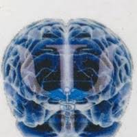 Curso de Neurociência Integrativa – Reflexos. Postura. Locomoção Curso de Neurociência Integrativa – Reflexos. Postura. Locomoção