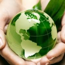 Como Criar um modelo de Negócio de Impacto Socioambiental