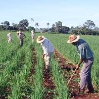 Curso de Boas práticas na gestão das propriedades Rurais