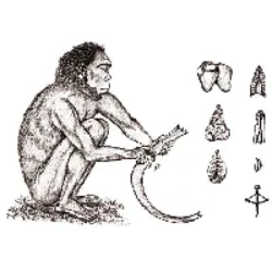 Curso de Evolução – Biologia