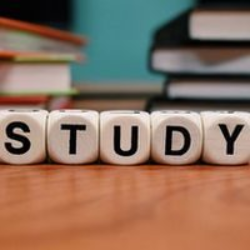 Curso de montagem de Plano de Estudos