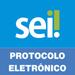 Sistema Eletrônico de Informações