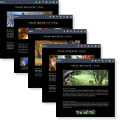 Curso de SEO para Minisites