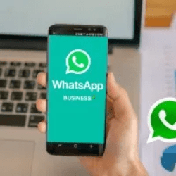 Curso de WhatsApp Business