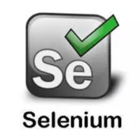 Curso de Automação de Testes com Selenium Para Iniciantes Curso de Automação de Testes com Selenium Para Iniciantes