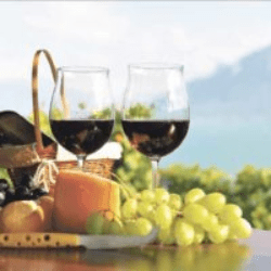 Curso de Vinhos – Básico