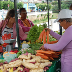 Curso de Autogestão e Economia Solidária