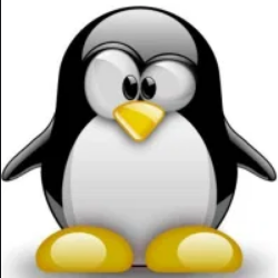 Curso de Linux Security Level 1