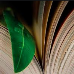 Curso de Direito Ambiental