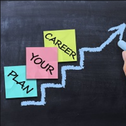 Curso de Plano de Carreira