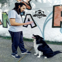 Curso de Adestramento de Cães