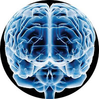 Curso de Pressupostos da Programação Neurolinguística