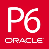 Curso de Oracle Primavera P6