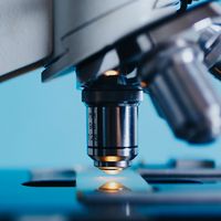 Icone de Curso de Bioquímica e Biologia Celular Curso de Bioquímica e Biologia Celular