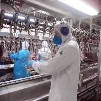 Curso de Controle Agroindustrial