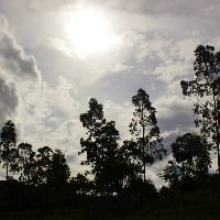 Curso de Direito Ambiental – Teoria e Prática