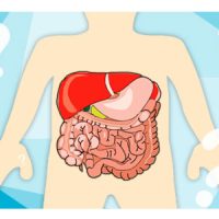 Curso de Terapia Digestiva