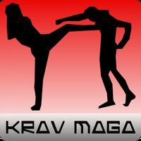 Curso de Krav Maga Curso de Krav Maga