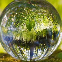 Icone de Curso de Gestão Ambiental – Conhecendo a ISO 14001 Curso de Gestão Ambiental – Conhecendo a ISO 14001