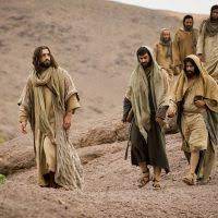 Icone de Curso de História Geral Curso de História Geral