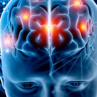 <strong>Curso de Iniciação à Ópera</strong>