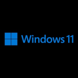 Curso de Windows 11 para Concursos