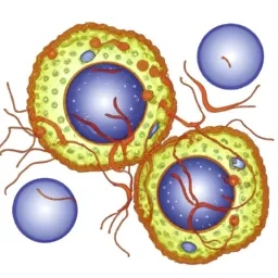 Curso de Biologia superintensivo